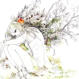 紫陽花の夜 封面