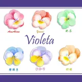Violeta 封面